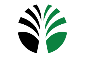 palm-logo